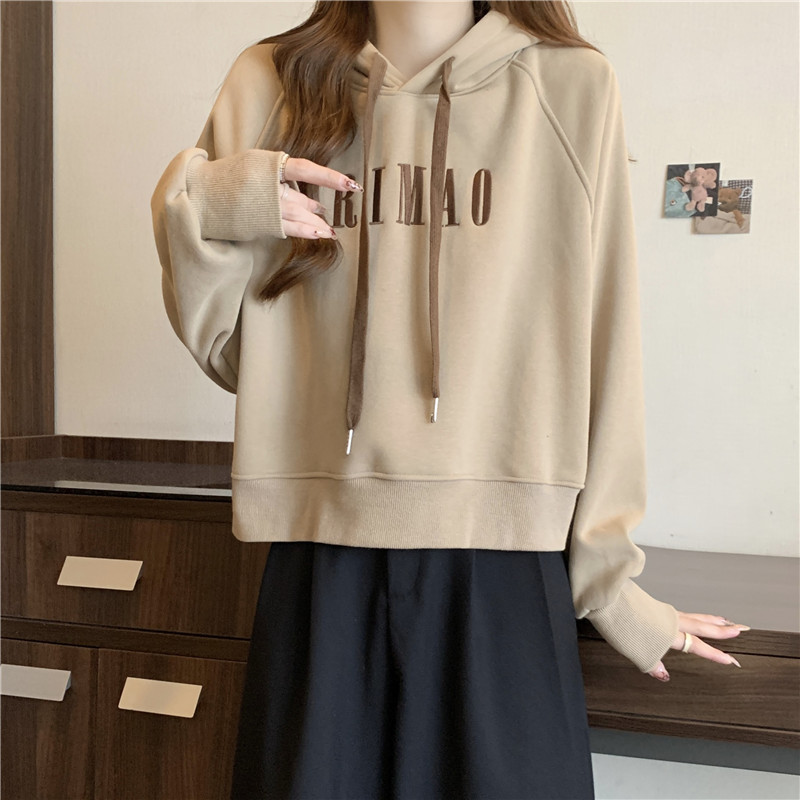 Korean style embroidery hoodie loose tops for women