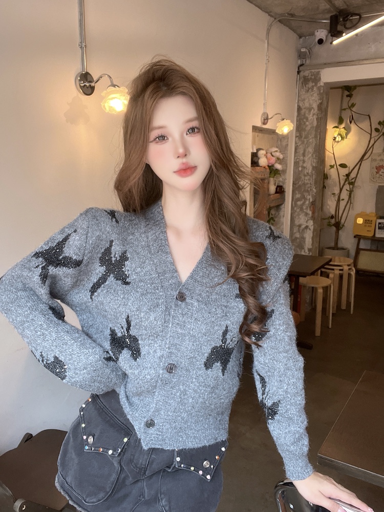 Autumn and winter tops V-neck sweater for women