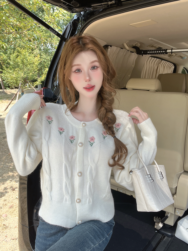 Korean style cardigan autumn and winter sweater for women