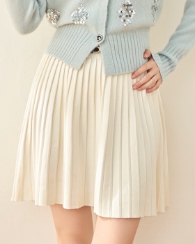 Slim all-match skirt knitted autumn and winter short skirt