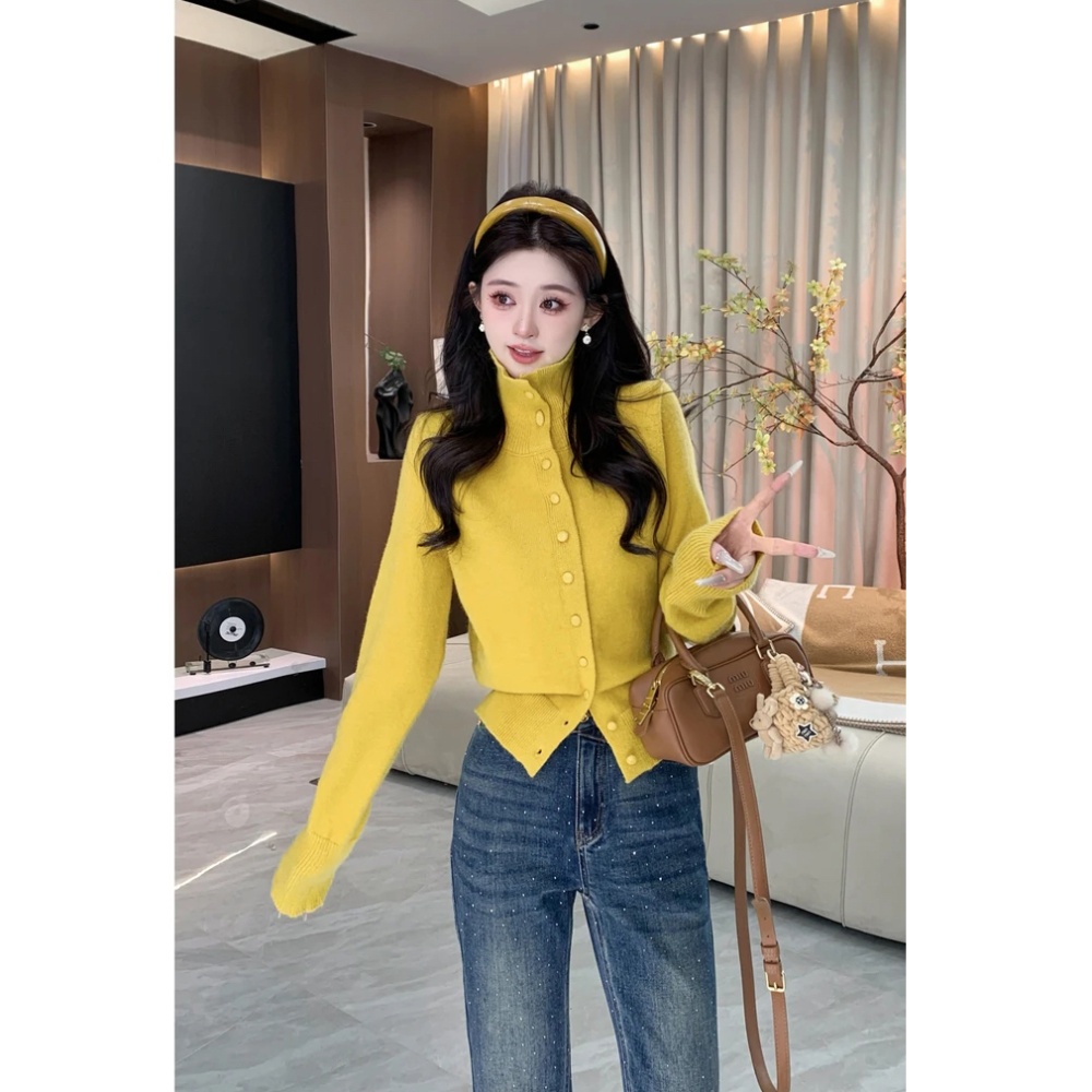 Stand collar fashion tops temperament slim sweater