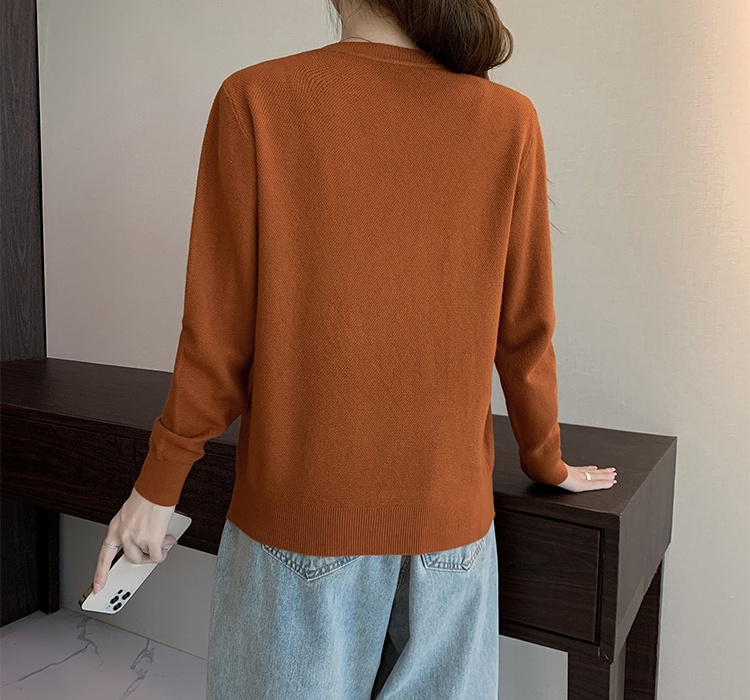 Long sleeve tops autumn and winter sweater for women