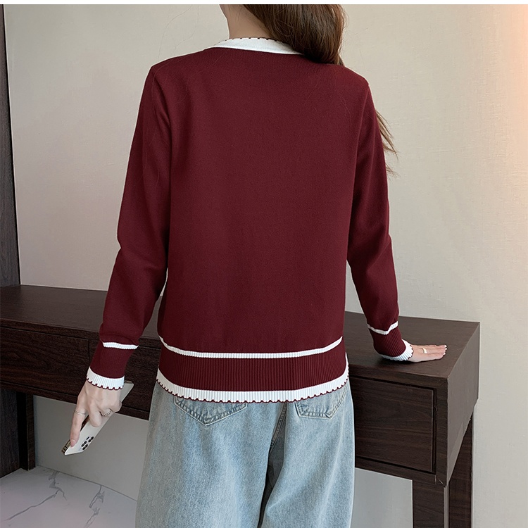 Autumn and winter sweater knitted tops for women