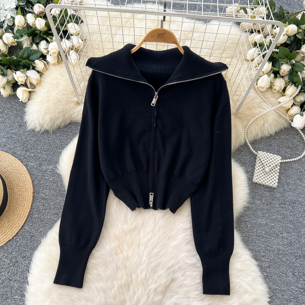 Korean style short coat autumn zip sweater for women