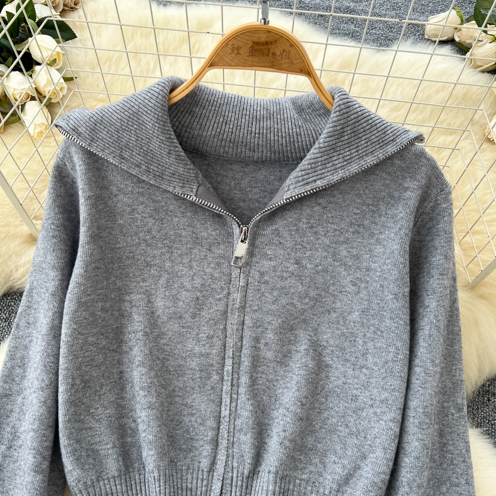 Korean style short coat autumn zip sweater for women