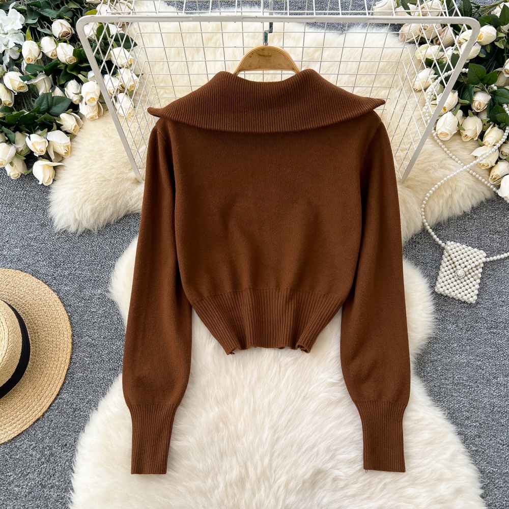 Korean style short coat autumn zip sweater for women