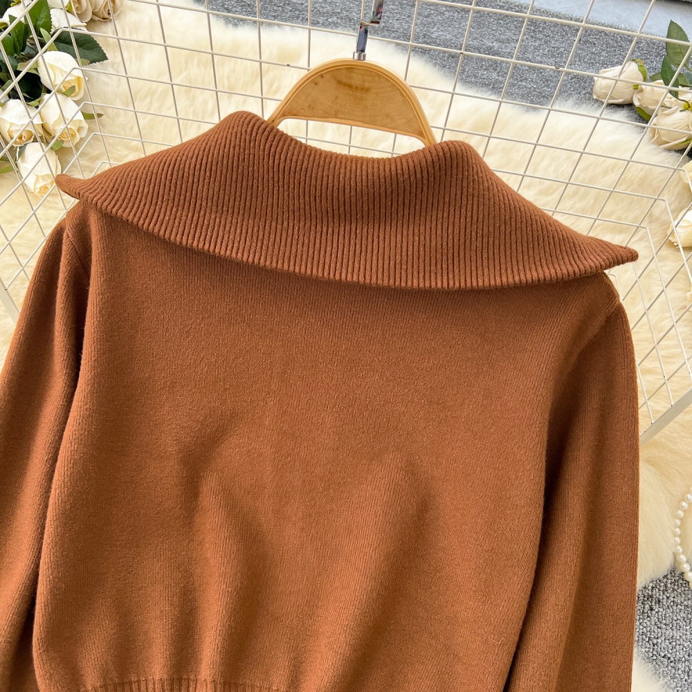 Korean style short coat autumn zip sweater for women