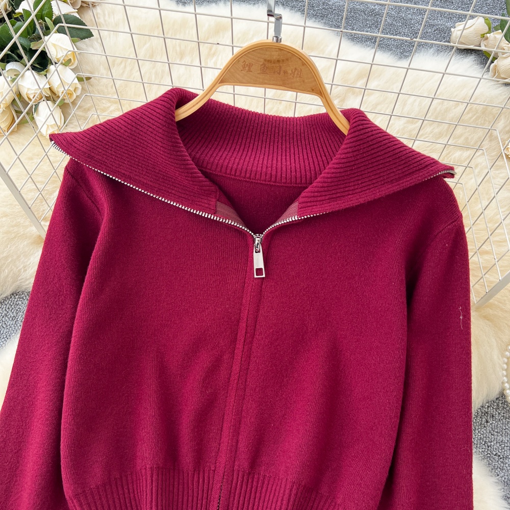 Korean style short coat autumn zip sweater for women