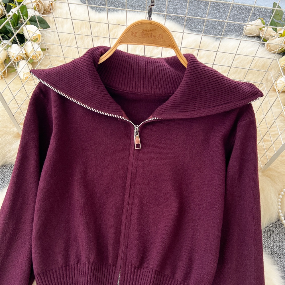 Korean style short coat autumn zip sweater for women