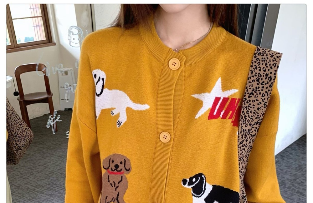 Knitted cartoon lazy sweater embroidery puppy coat