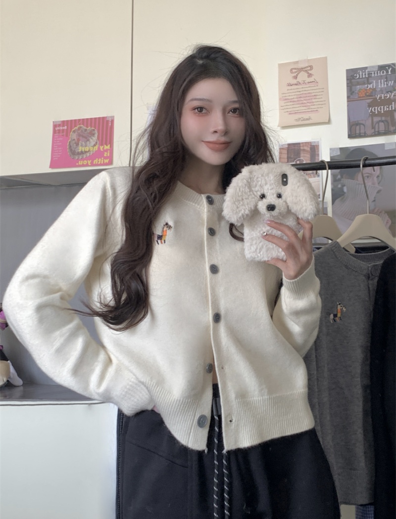 Autumn Korean style cardigan Casual long sleeve tops for women