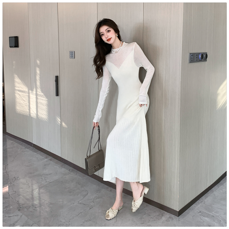 Bottoming sweater autumn and winter dress for women