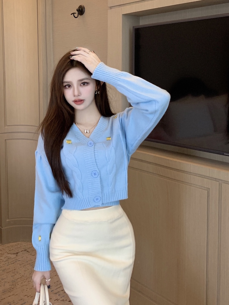 Korean style coat tops 2pcs set for women