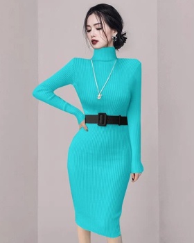 Knitted pinched waist dress high collar sweater for women