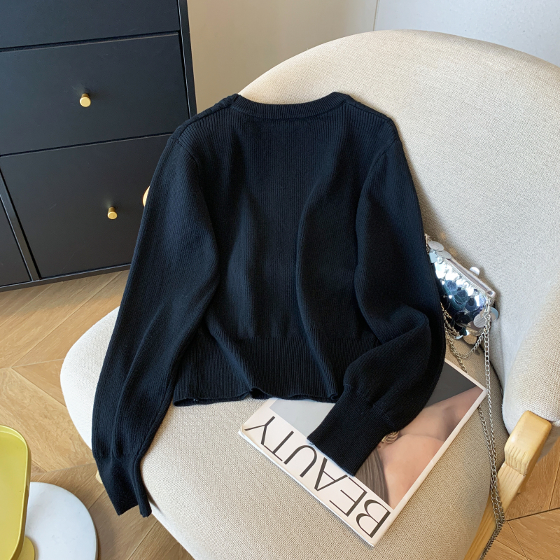 Autumn and winter bottoming shirt short sweater