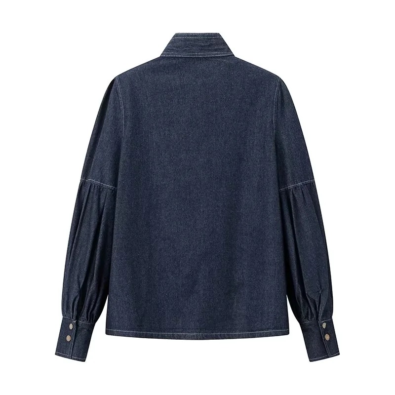 Temperament cstand collar commuting shirt for women