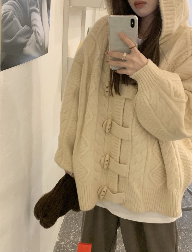 Hooded pure coat twist autumn and winter sweater