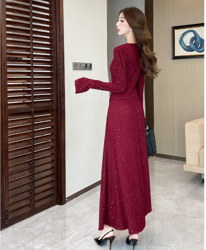 Pinched waist tops fashion long skirt 2pcs set