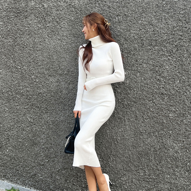 Bottoming frenum long dress long sleeve high collar dress