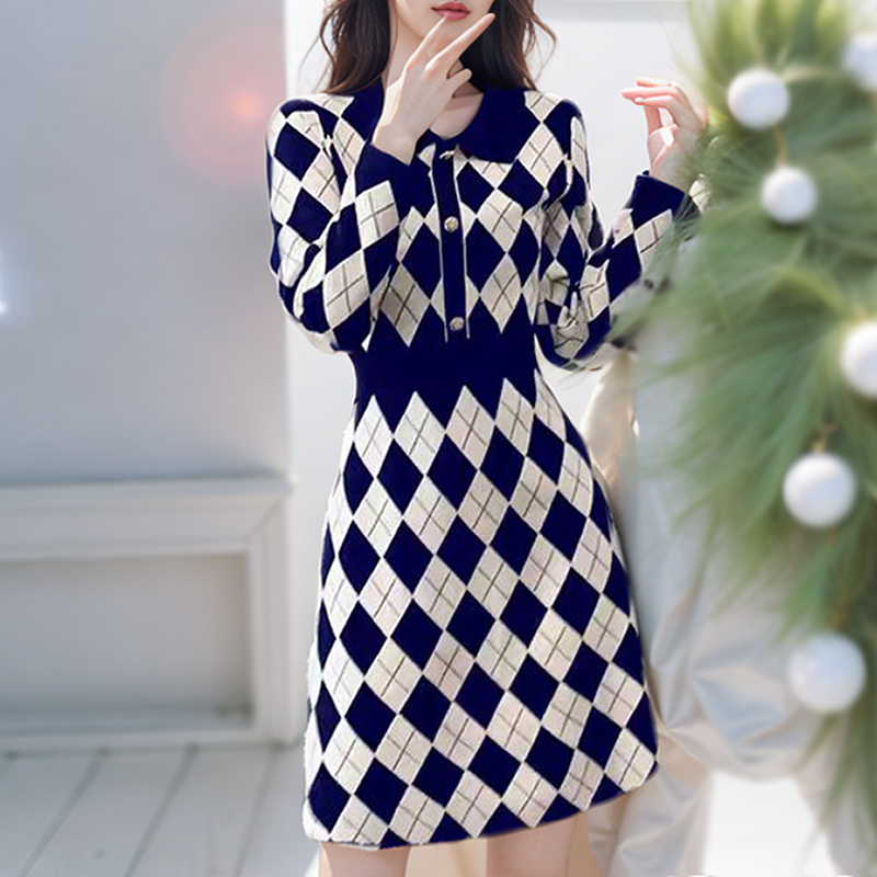 Profession sweater autumn and winter dress for women