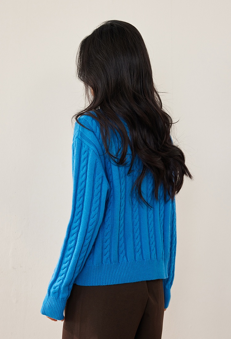 Autumn all-match wool twist sweater