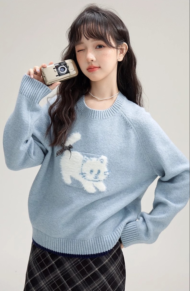 Pullover round neck sweater spring and autumn tops for women