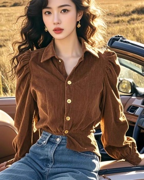 Temperament velvet shirt autumn and winter elegant tops