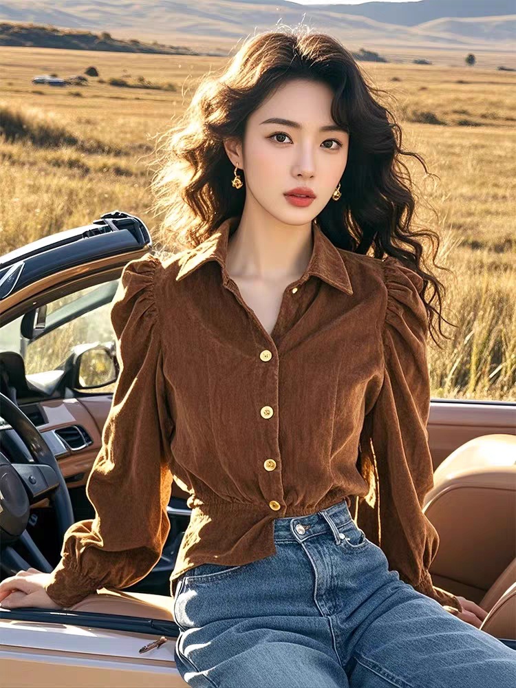 Temperament velvet shirt autumn and winter elegant tops