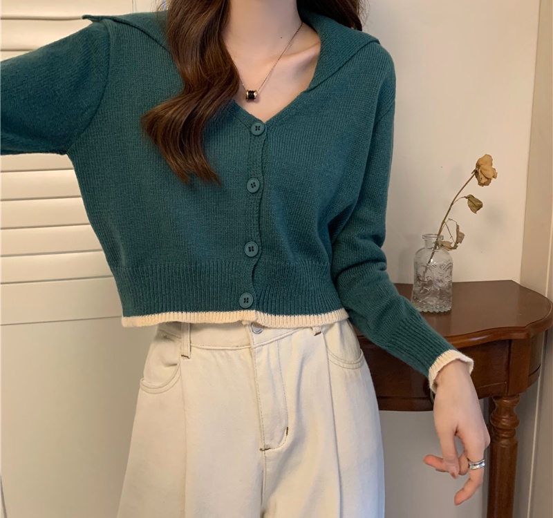 Autumn and winter short tops pure sweater for women