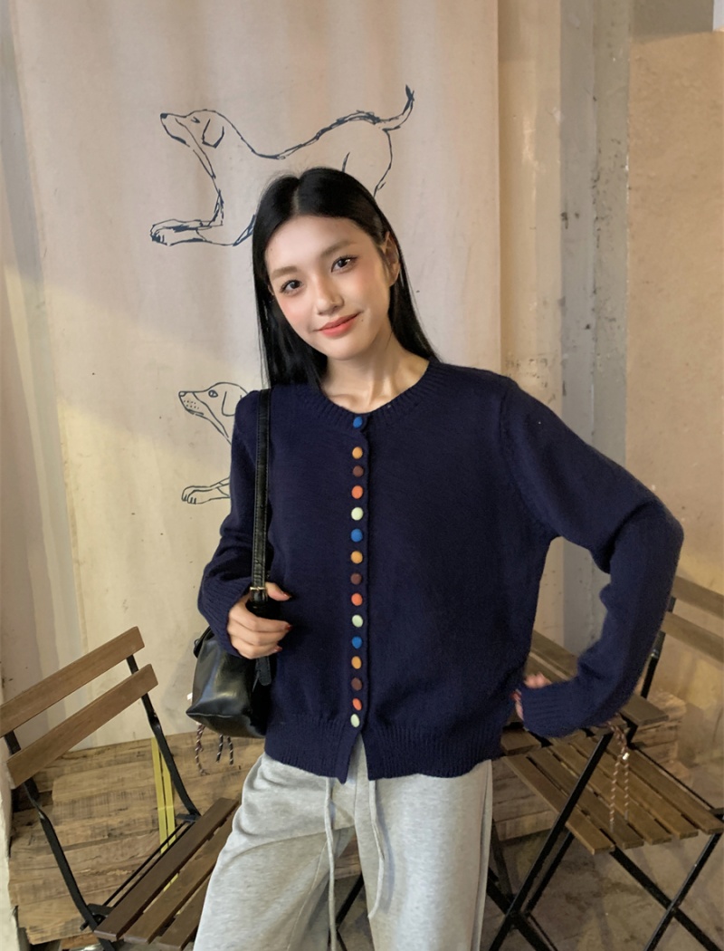 Long sleeve Korean style colors sweater unique niche tops