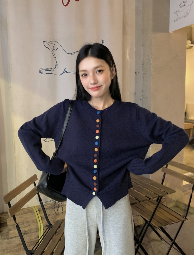 Long sleeve Korean style colors sweater unique niche tops