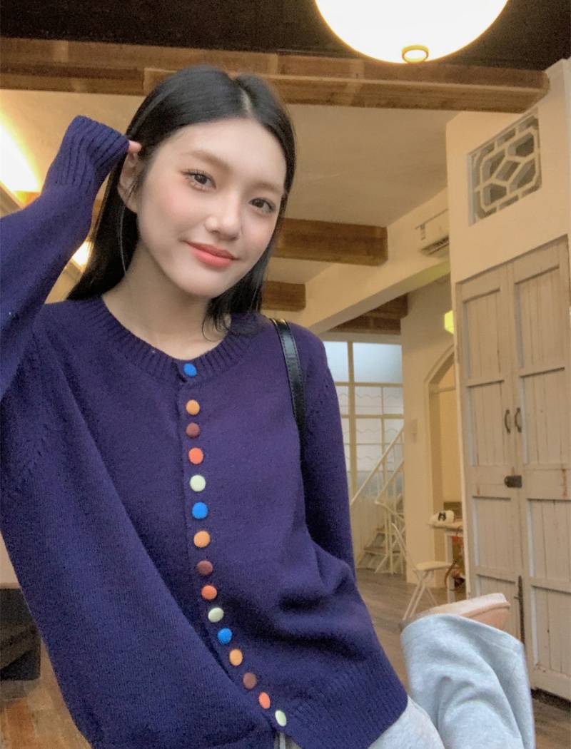 Long sleeve Korean style colors sweater unique niche tops