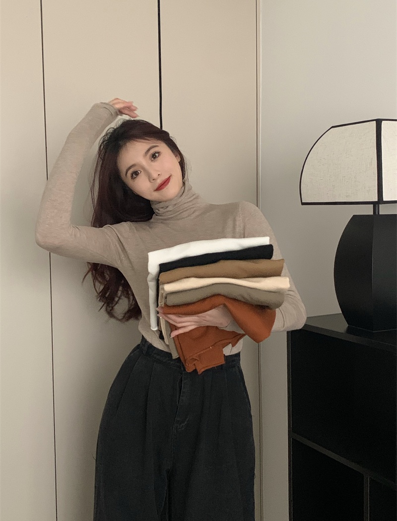 Niche autumn and winter pure sweater slim long sleeve tops