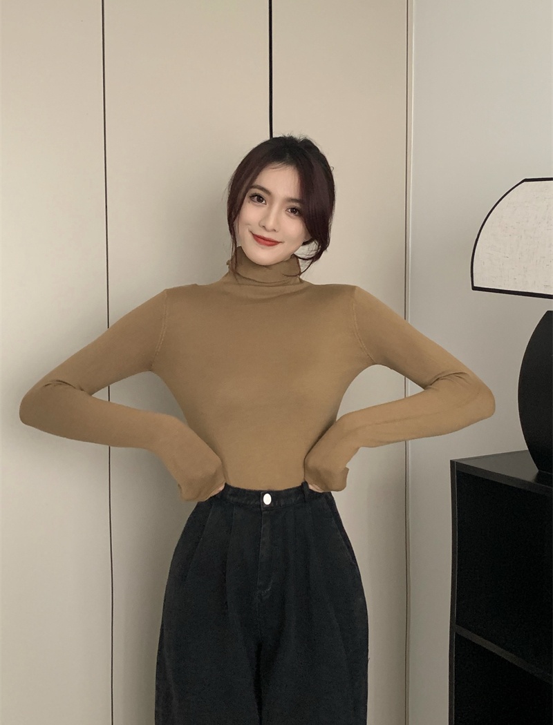 Niche autumn and winter pure sweater slim long sleeve tops