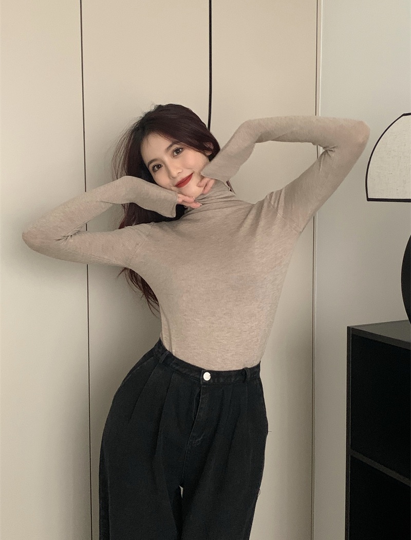 Niche autumn and winter pure sweater slim long sleeve tops