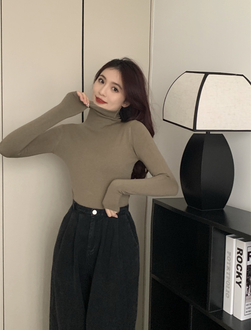 Niche autumn and winter pure sweater slim long sleeve tops