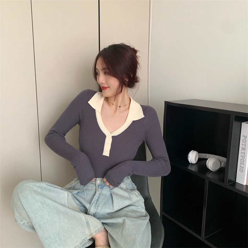 Autumn and winter lapel tops long sleeve sweater