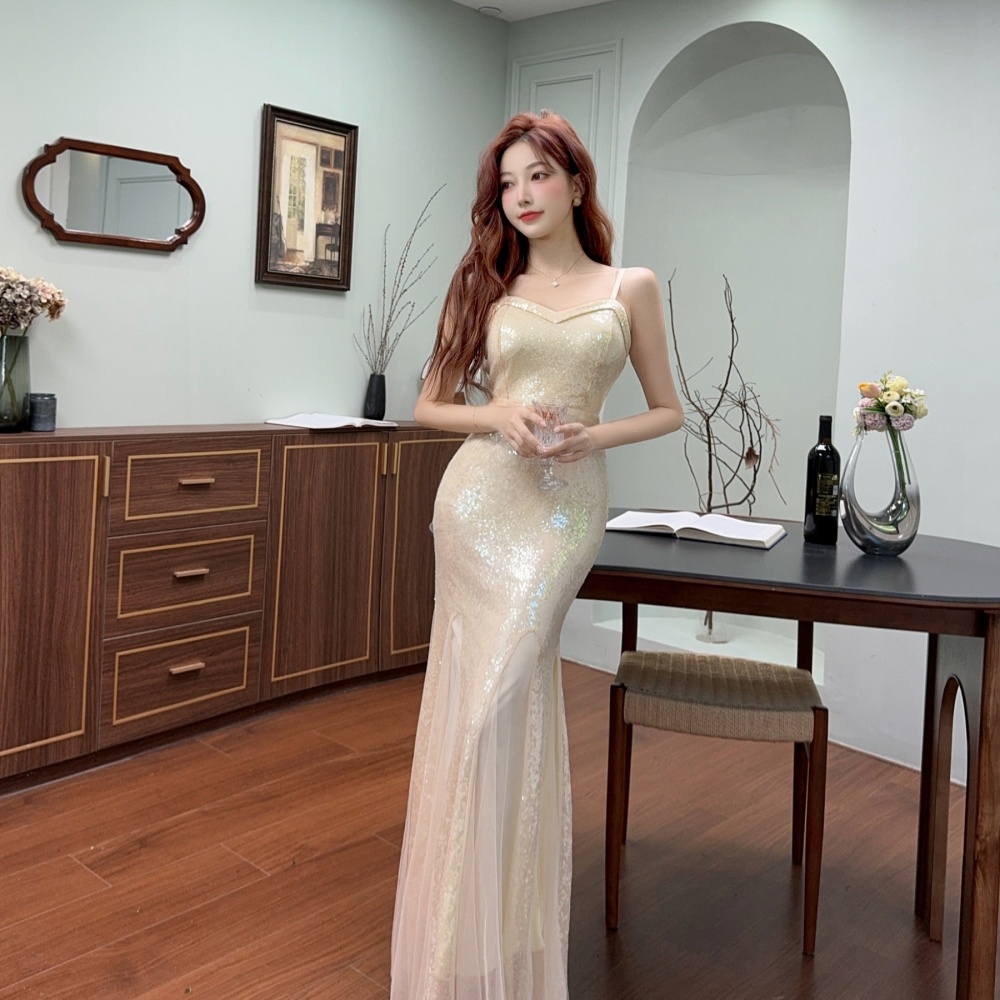 Temperament ladies evening dress light luxury long dress