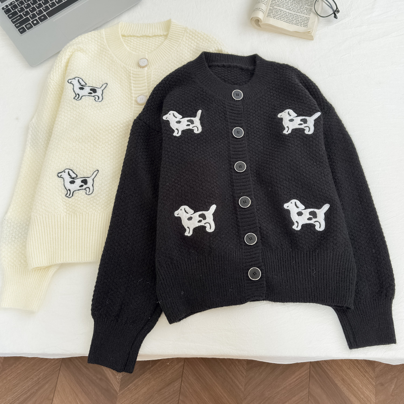 Wears outside coat knitted sweater for women