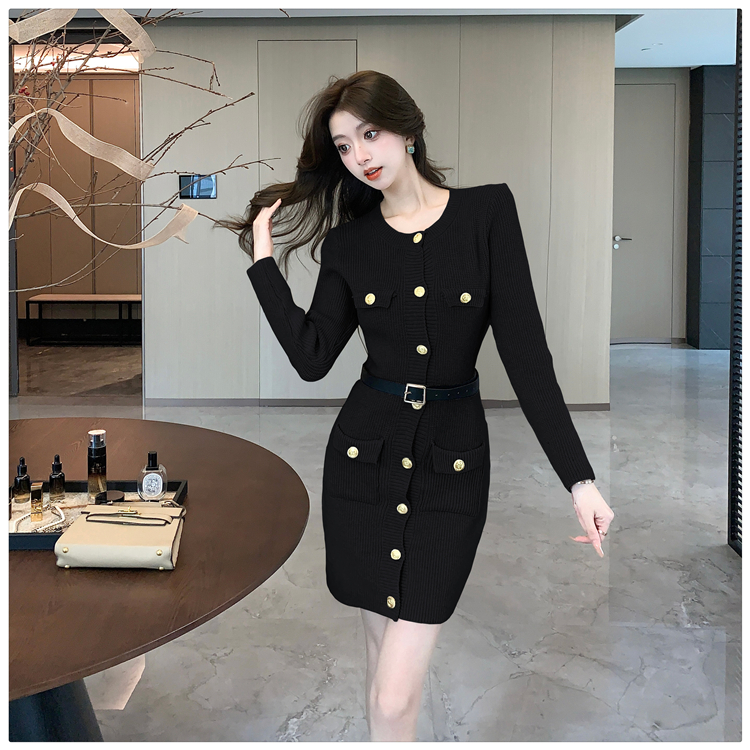 Small fellow temperament sweater fashion dress