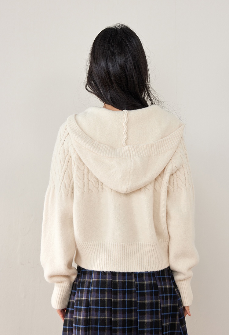 Christmas hooded twist autumn weave horn buckle sweater