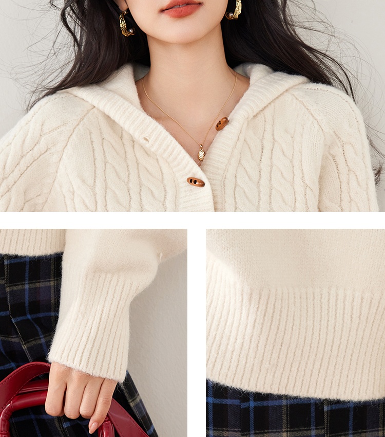 Christmas hooded twist autumn weave horn buckle sweater