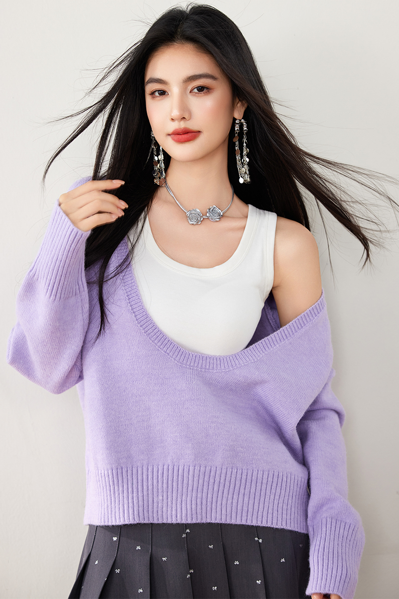 Lazy purple niche V-neck autumn long sleeve sweater