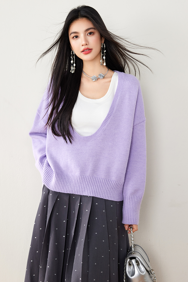 Lazy purple niche V-neck autumn long sleeve sweater