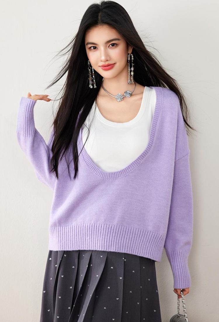 Lazy purple niche V-neck autumn long sleeve sweater