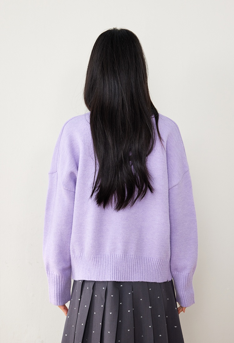 Lazy purple niche V-neck autumn long sleeve sweater