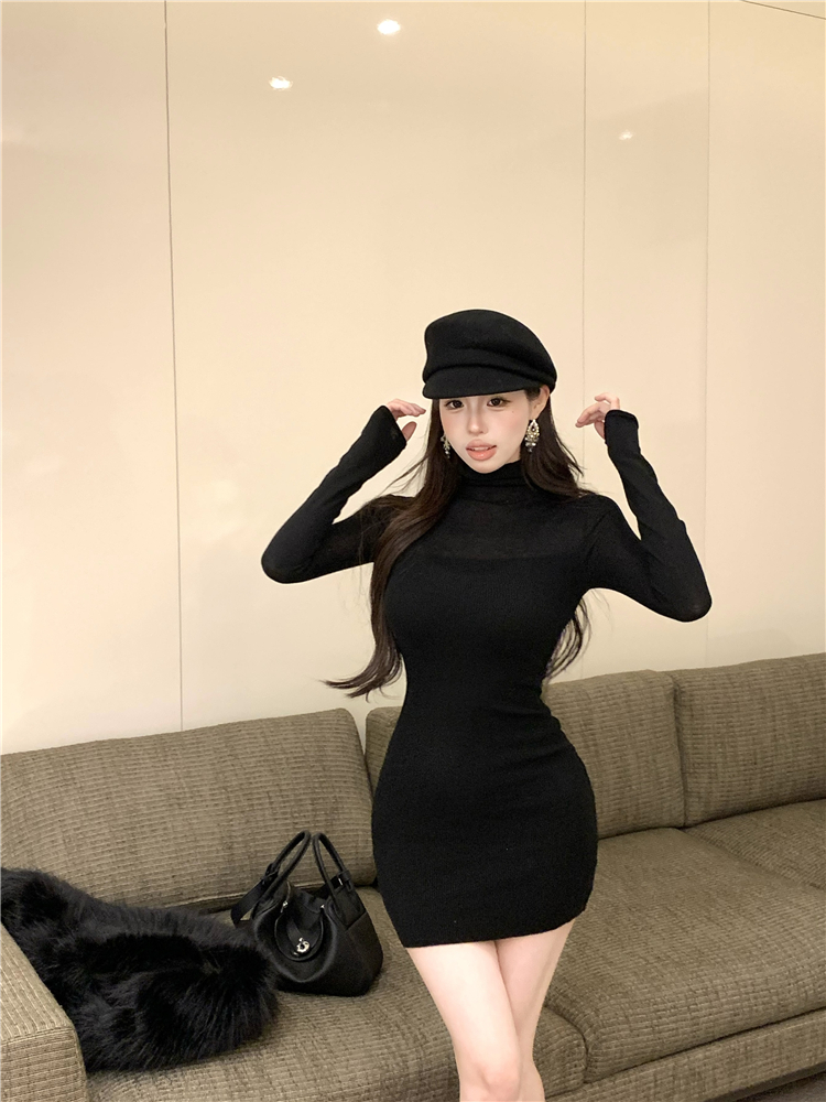 Bottoming slim knitted high collar pinched waist dress