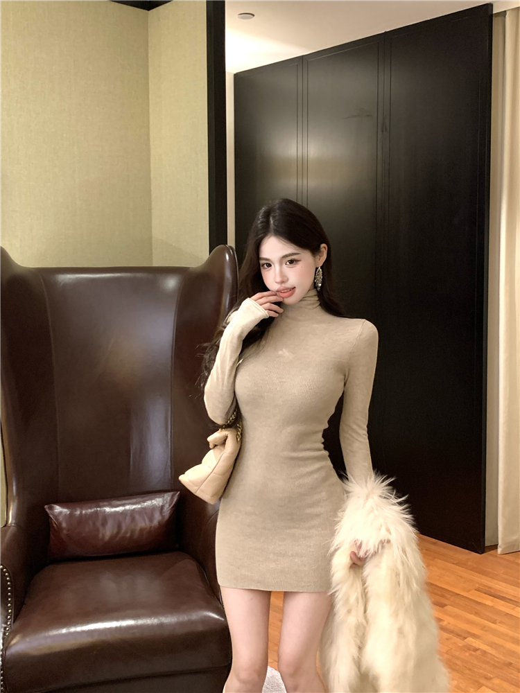 Bottoming slim knitted high collar pinched waist dress