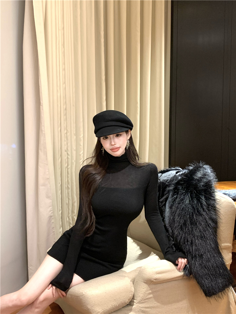 Bottoming slim knitted high collar pinched waist dress