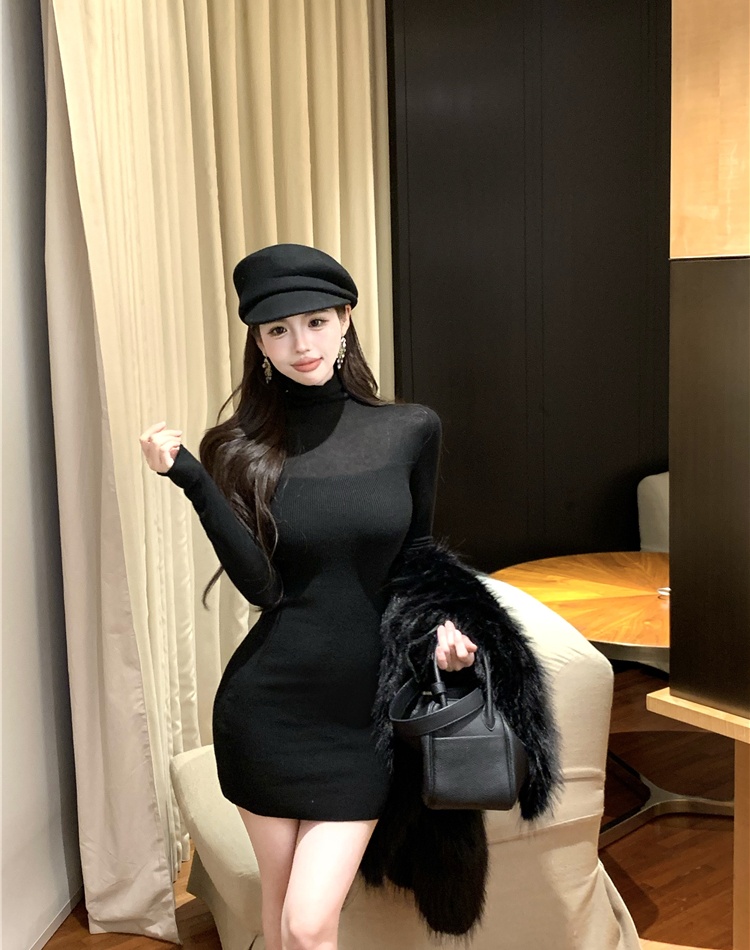 Bottoming slim knitted high collar pinched waist dress